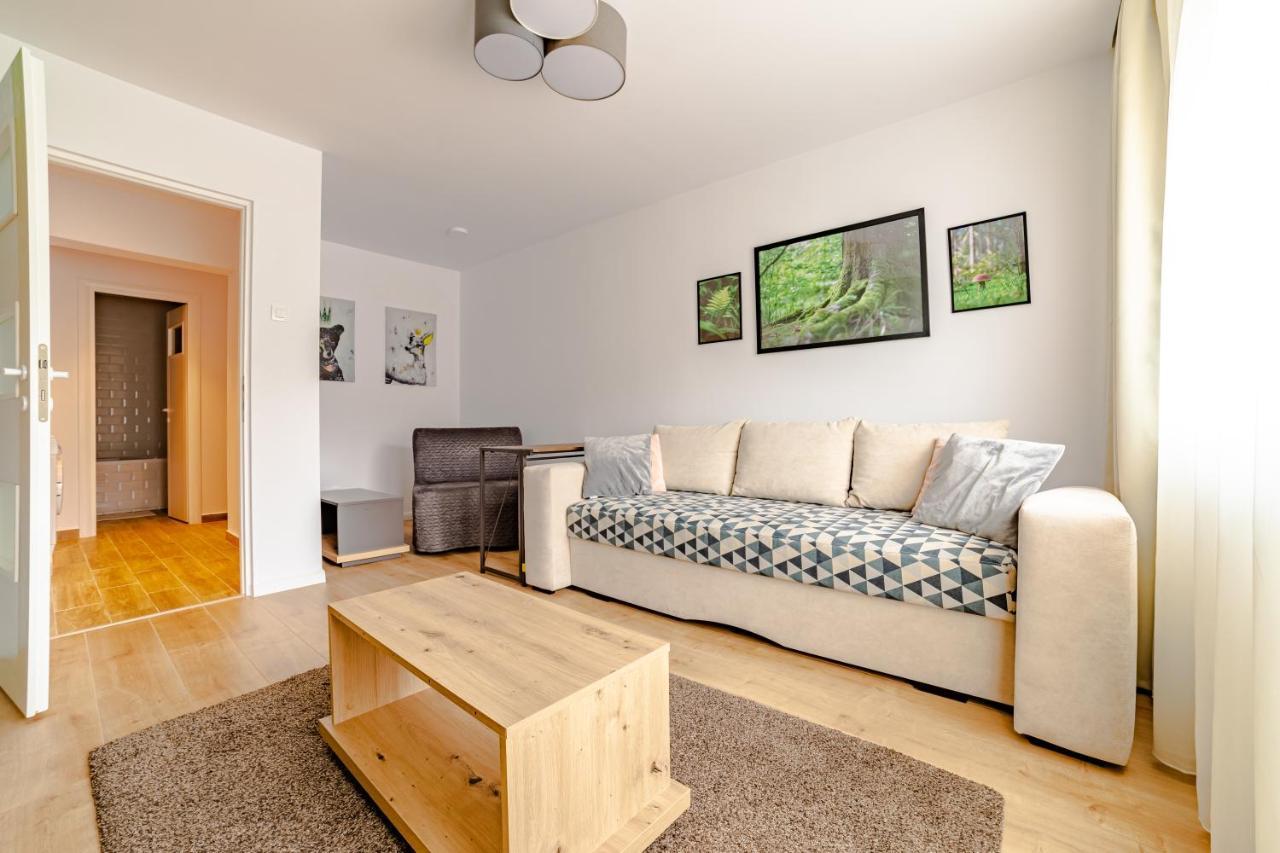 Mid-Term Rental Racadau Apartment Braşov Esterno foto